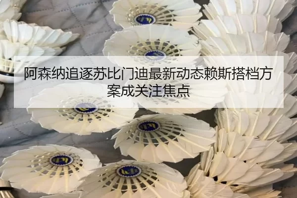 阿森纳追逐苏比门迪最新动态赖斯搭档方案成关注焦点